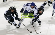 体彩投注|罗马诺深度剖析，夏季转会窗口再创热潮，球迷支持铸就疯狂赛季