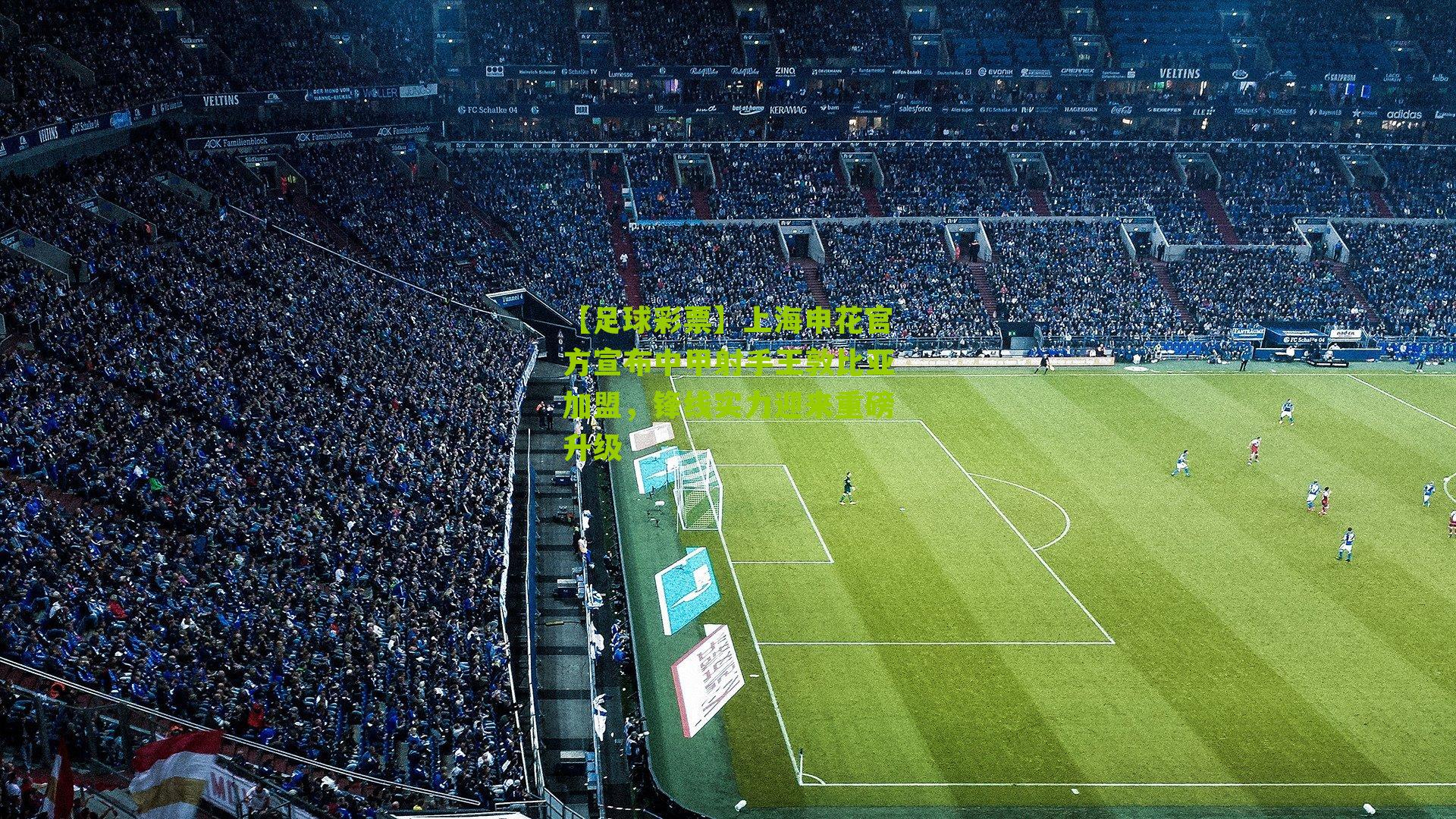 上海申花官方宣布中甲射手王敦比亚加盟，锋线实力迎来重磅升级