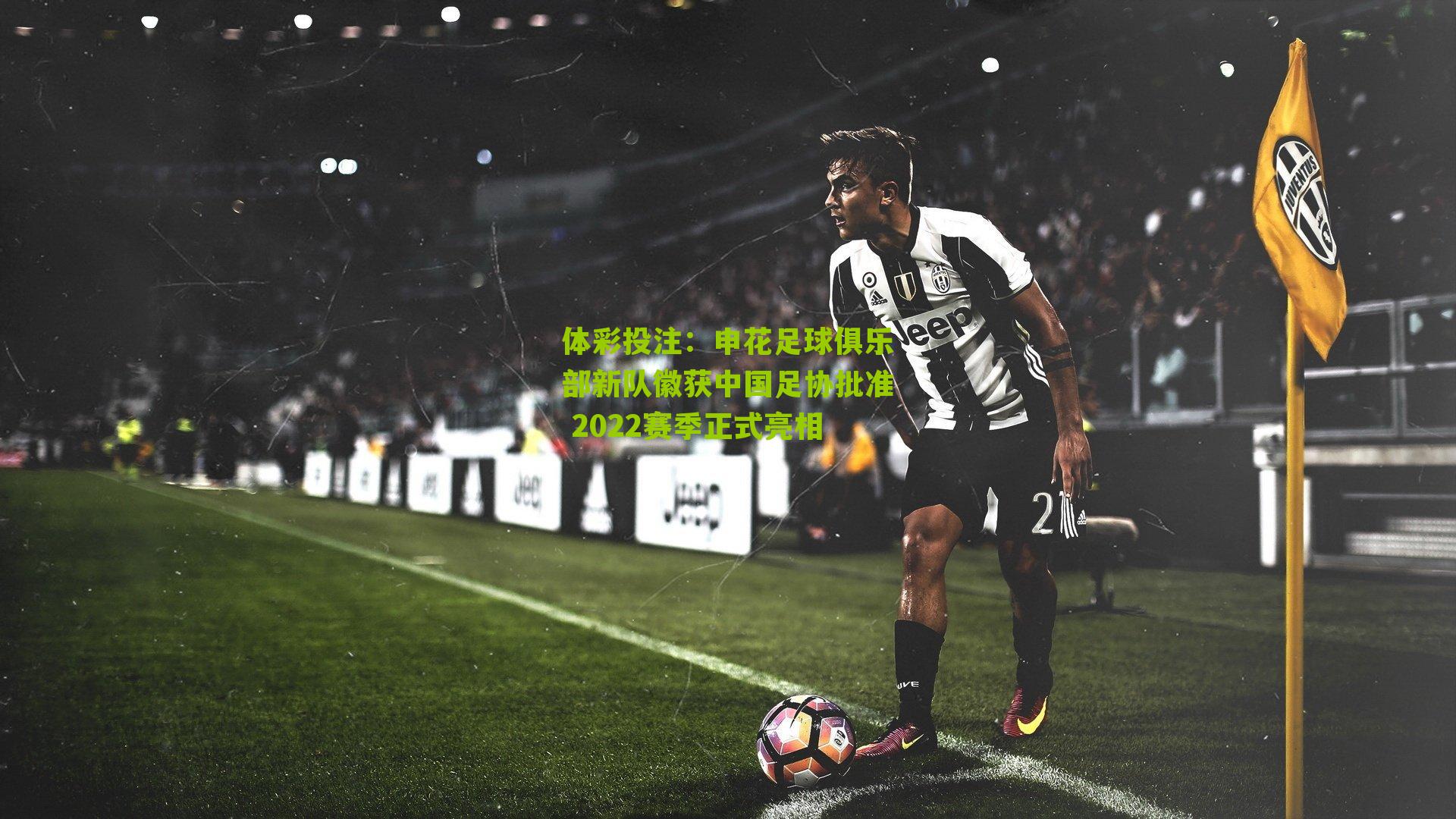 申花足球俱乐部新队徽获中国足协批准 2022赛季正式亮相